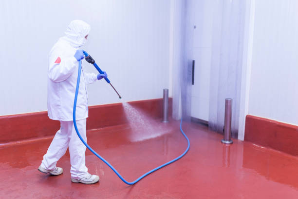 Best Paint Preparation  in Old Brookville, NY